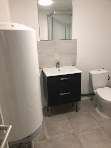 une salle de bain avec un lavabo, des toilettes et un miroir dans l'établissement apt de 20m2 proche plage, à Berck-sur-Mer