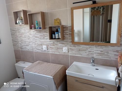 une salle de bain avec un lavabo, des toilettes et un miroir dans l'établissement L'étoile du Matin avec Piscine Privative, à Margon