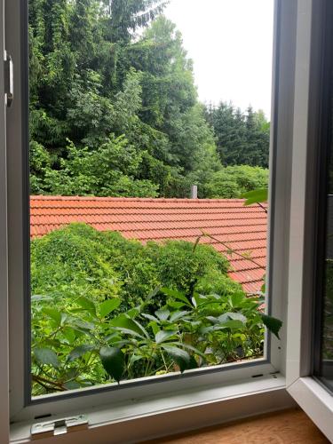 Κήπος έξω από το Ferienwohnung Schatzkisterl