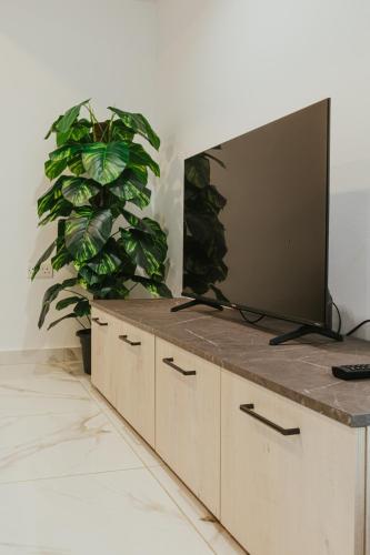 a tv on a wooden cabinet with a potted plant at Luma apartment - Sliema with Outdoor Space and BBQ Area in Sliema