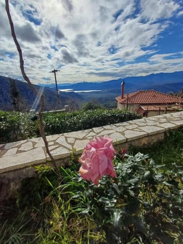 Un paisaje natural cerca de la casa vacacional