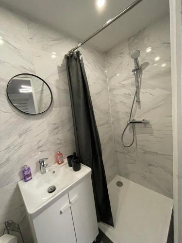 une salle de bain avec une douche, un lavabo et un miroir dans l'établissement Studio Rénové avec parking et balcon, à Fegersheim