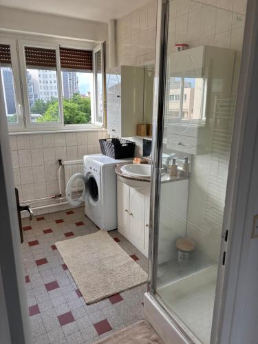 une salle de bain avec une machine à laver et un lavabo dans l'établissement Appartement des merveilles, à Vénissieux