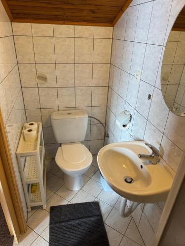 a small bathroom with a toilet and a sink at Pension Burger in Harrachov