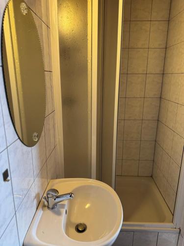 a bathroom with a sink and a shower at Pension Burger in Harrachov