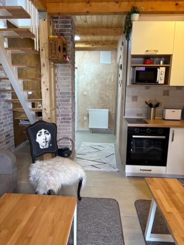 Kuchyň nebo kuchyňský kout v ubytování Apartmani Snježna Kraljica Vlašić 2