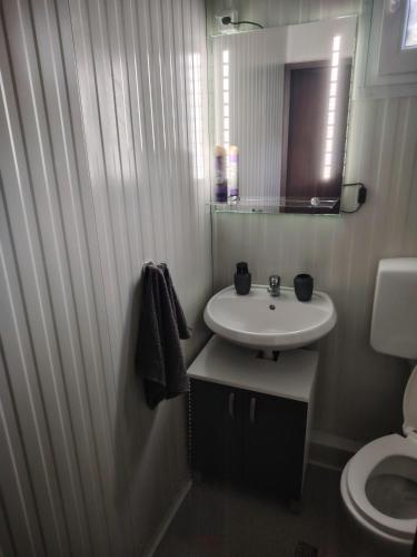 a bathroom with a sink and a mirror and a toilet at Mobile home Amfora in Sveti Juraj