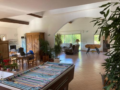 Grande maison avec piscine