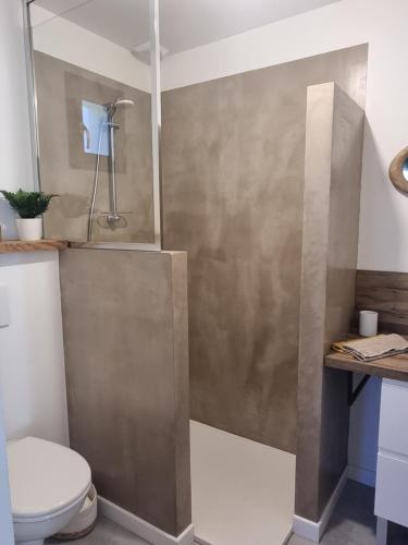 a bathroom with a shower with a toilet in it at Gîtes Boisé en Cévennes - Ô Jardin d'À Côté in Avèze