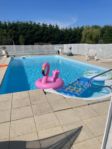 a pool with two pink flamingos in a swimming pool at Maison avec piscine chauffée, plages du débarquement in Crouay