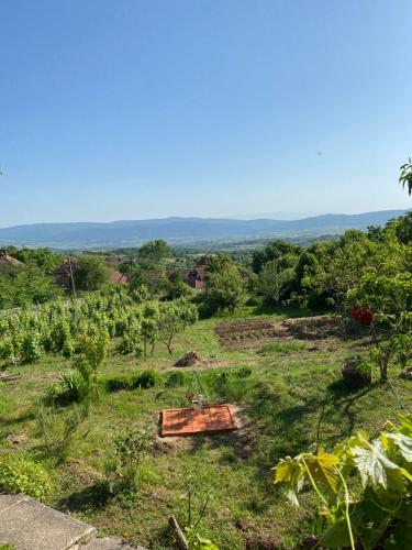a view of a field with trees and grass at Organska Farma Nebesa in Vrmdža