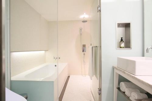 a bathroom with a shower and a tub and a sink at Ambience Hotel Taipei in Taipei