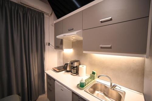 Il comprend une cuisine équipée d'un évier et d'une cafetière. dans l'établissement Medusa suite stadiou by Zeussuites, à Athènes