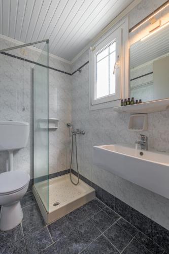 a bathroom with a shower and a toilet and a sink at Agnanti View Hotel in Pachaina