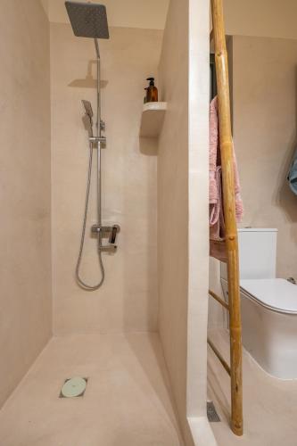 a small bathroom with a shower and a toilet at Villa Natura in Kalamos