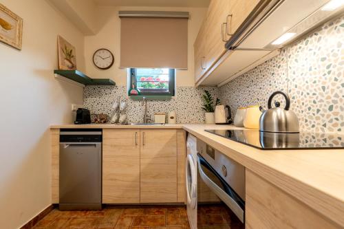a kitchen with a sink and a dishwasher at Villa Natura in Kalamos