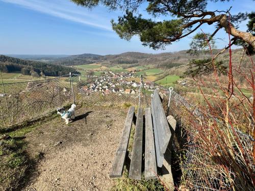 a cat sitting on a wooden bench on a hill at Berggasthof Hotel Igelwirt in Schnaittach