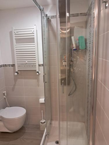 a bathroom with a toilet and a glass shower at Villa Vera Tropea - free parking in Tropea