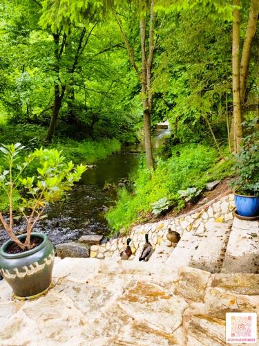 a stone walkway with a river in a park at fairy tale cottage on water stream, 30 minutes from South Prague in Davle