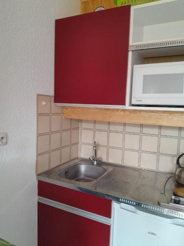 une cuisine avec un évier et un micro-ondes dans l'établissement studio gresse en vercors, à Gresse-en-Vercors