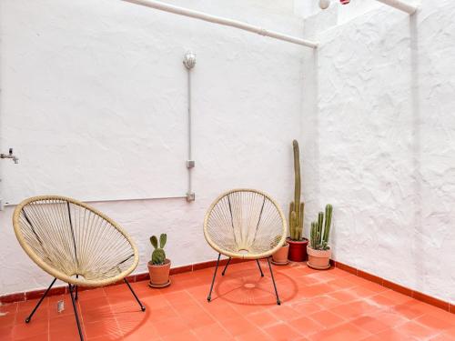 two chairs sitting in a room with cactuses at Fee4Me 5 Min from Sardina Beach in Gáldar