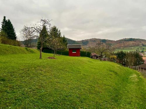 a green hill with a red shed on top of it at Ferienhaus Marina in Floh