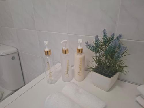 a bathroom with two shampoo bottles and a potted plant at Casa do Diniz in Travassos