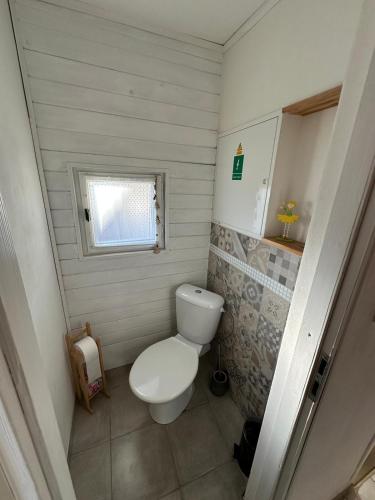 a small bathroom with a toilet and a window at Chatky u potoka - chatička č.2 in Olešnice v Orlických horách