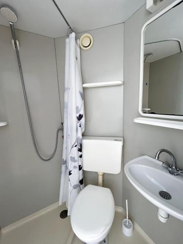 une petite salle de bain avec toilettes et lavabo dans l'établissement Studio lumineux avec jardin commun à Tours, à Tours