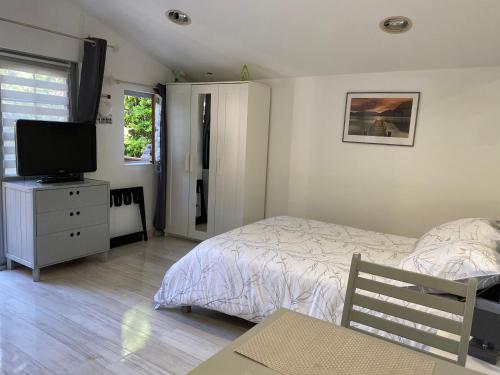 une chambre avec un lit et une télévision à écran plat dans l'établissement CHALET, PISCINE, JACUZZI,JARDIN CLOTURE, ANIMAUX Acceptés, à Saint-Maximin-la-Sainte-Baume