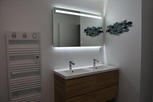 une salle de bain avec un lavabo et un miroir dans l'établissement la maison bleue du plot, à Ailhon