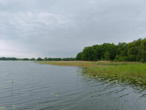a large body of water with trees in the background at Domek Pszczelarza in Krasnopol