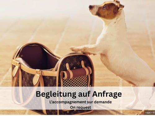a dog standing on its hind legs next to a purse at Maison de Castella next to Cathedrale in Fribourg