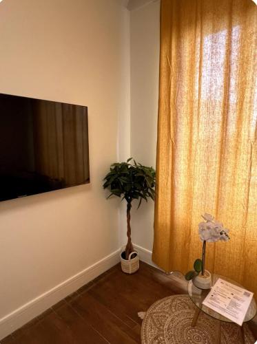 un salon avec une télévision et une plante en pot dans l'établissement PARIS-MONTROUGE Magnifique Studio Appartement de 35m2 - très cosy pour 1 à 6 personnes refait à neuf - ENTIRE APARTMENT LUXIRIOUS AND WARM - Montrouge Paris 14ème - Proche Aéroport Orly & Parc Expositions Porte de Versailles FREE WIFI GRATUIT, à Montrouge