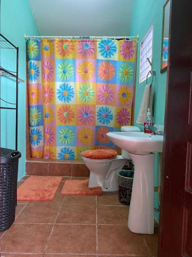 a bathroom with a sink and a shower curtain at Entire House - Private, Affordable, 10 mins to Itl Airport in Bakers