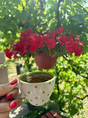 a person holding a cup of coffee with a flower pot at Tresnjin cvet in Ripanj