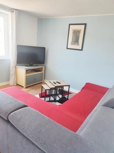 a living room with a couch and a flat screen tv at Gite du Goulet in Montusclat