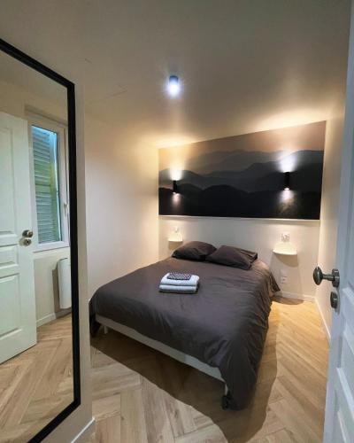 une chambre avec un lit et un grand miroir dans l'établissement 2 pièces Pau centre-ville, à Pau