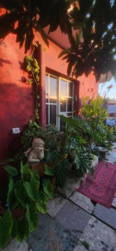 a house with a window and plants in front of it at MARRAKECH פלא - PELEH - Queit place 3 km from the beach of Cesarea in Or ‘Aqīvāh