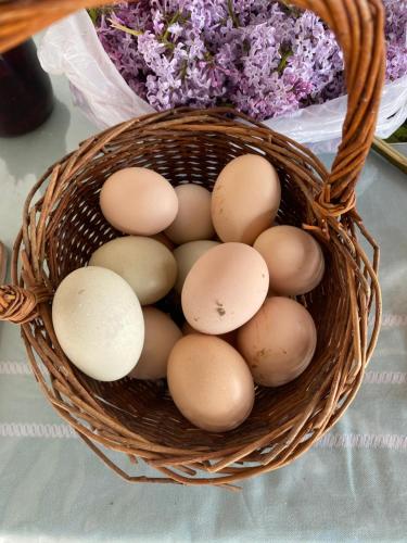 a basket full of eggs sitting on a table at Organska Farma Nebesa in Vrmdža