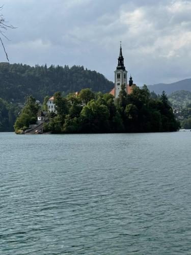 a building on an island in the middle of a lake at Blue Sky Apartment in Bled