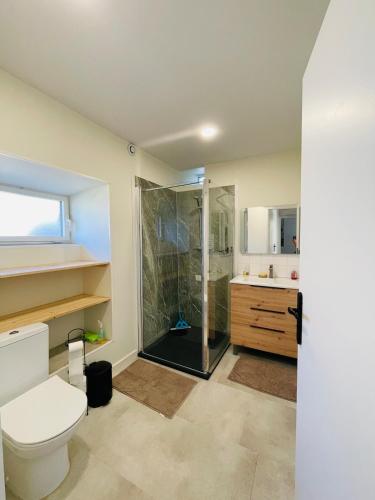 une salle de bain avec une douche, des toilettes et un lavabo dans l'établissement Ty Bugale, 6 personnes, proche mer, à Plestin-les-Grèves