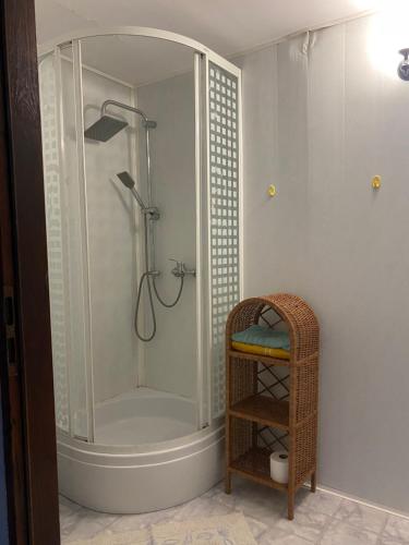 a shower stall in a bathroom with a shelf at Stara Szkoła in Krempna