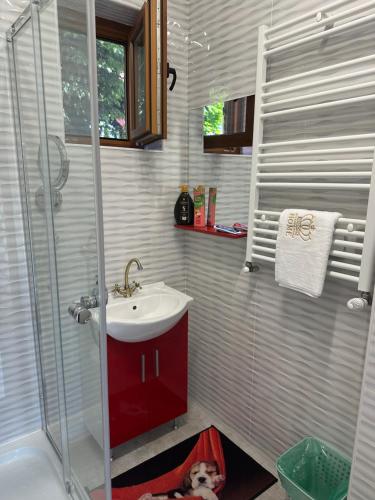 a bathroom with a red sink and a shower at Airport Confort House in Otopeni