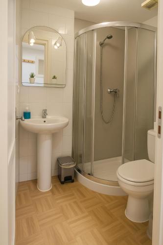a bathroom with a shower and a sink and a toilet at Pensión O Muiño in O Pedrouzo