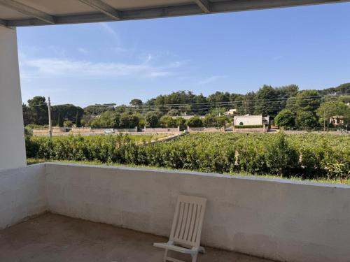 a chair sitting on a balcony looking out at a field at Casa Daniel in Selva di Fasano