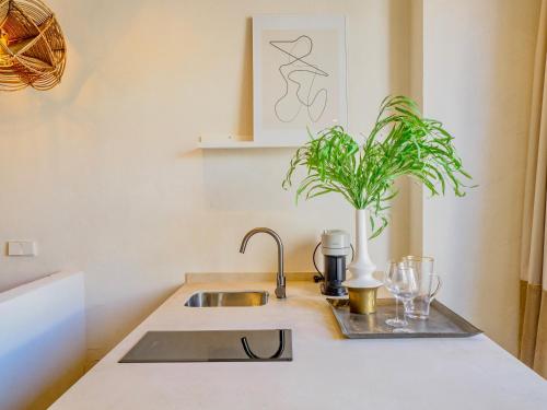 a kitchen counter with a sink and a plant at Comfy Studios Hotel in Benalmádena