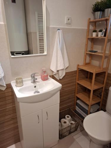 Kúpeľňa v ubytovaní Chaloupka Žďárky