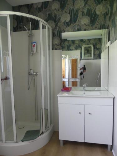 une salle de bain avec une douche, un lavabo et un miroir dans l'établissement lacampagneenchantée, à Madeleine