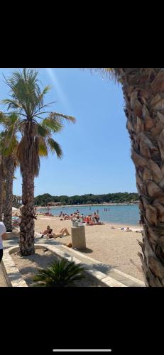 a beach with a palm tree and people on the beach at Bella Vista Sunset penthouse with private jacuzzi in Novalja
